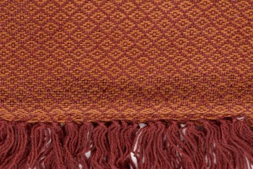 Alpacasol-Closeups-3